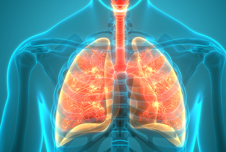 Do you qualify for a lung screening?